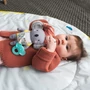 Kép 3/4 - Taf Toys csörgő Kimmy, a koala rágókával 12405