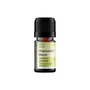 Kép 2/6 - Chamomile Maroc 5 ml - Marokkói kamilla 5 ml
