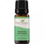 Kép 3/4 - Rosemary 1,8-Cineole - Rozmaring illóolaj