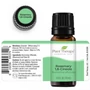 Kép 4/4 - Rosemary 1,8-Cineole - Rozmaring illóolaj