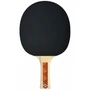 Kép 3/3 - Ping-pong ütő Donic Champs Line 200 Series