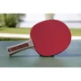 Kép 4/4 - Ping-pong ütő Donic Champs Line 300 Series 2018