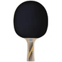 Kép 1/2 - Ping-pong ütő Donic Legends 300 FSC